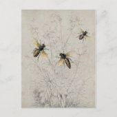Bienen Postkarte (Vorderseite)