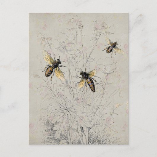 Bienen Postkarte (Vorderseite)