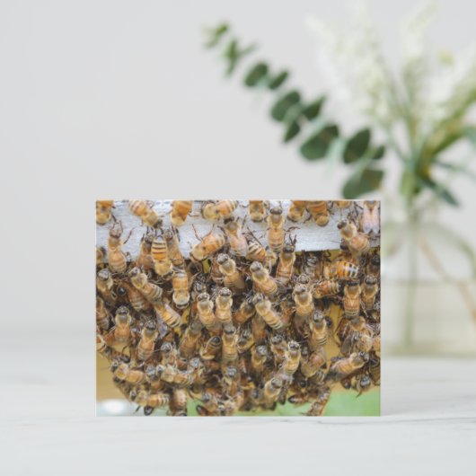 Bienen! Postkarte (Stehend Vorderseite)