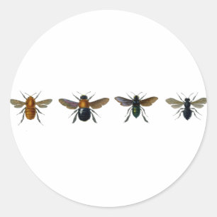 Bienen Runder Aufkleber