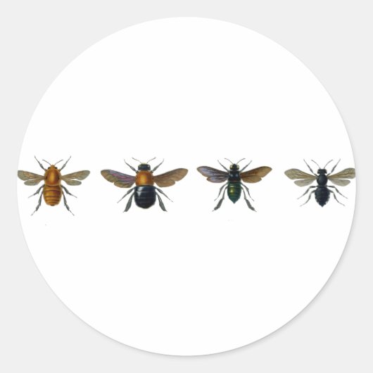 Bienen Runder Aufkleber (Vorderseite)