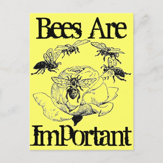 Bienen sind wichtige Postkarten (Vorderseite)