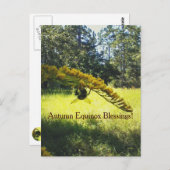 Bienen-u. Goldruten-Herbst-Äquinoktikum Mabon Postkarte (Vorne/Hinten)
