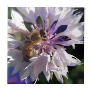 Bienen und Blaue Blume Fliese