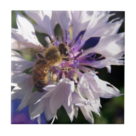 Bienen und Blaue Blume Fliese (Vorderseite)