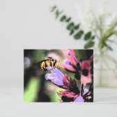 Bienen und Blume Postkarte (Stehend Vorderseite)