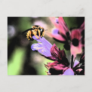 Bienen und Blume Postkarte