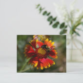 Bienen und Blume Postkarte (Stehend Vorderseite)