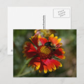 Bienen und Blume Postkarte (Vorne/Hinten)