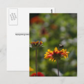Bienen und Blume Postkarte (Vorne/Hinten)