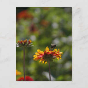 Bienen und Blume Postkarte