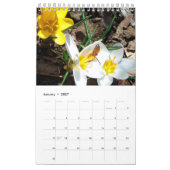 Bienen und Blume, schöner Blumenkalender Kalender (Jan 2027)