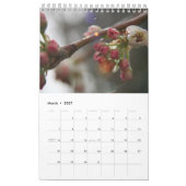 Bienen und Blume, schöner Blumenkalender Kalender (Mär 2027)