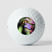 Bienen und Blume tpv1 gbcna Golfball (Vorderseite)
