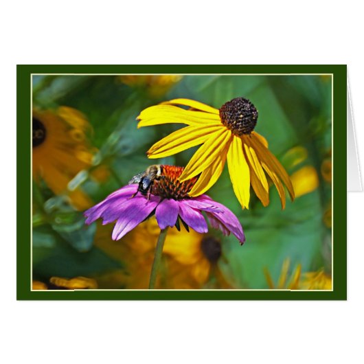 Bienen und Blüten (Vorderseite (Horizontal))