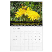 Bienen und Blüten - Kalender 2025 (Mär 2027)