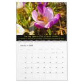Bienen und Blüten - Kalender 2025 (Jan 2027)
