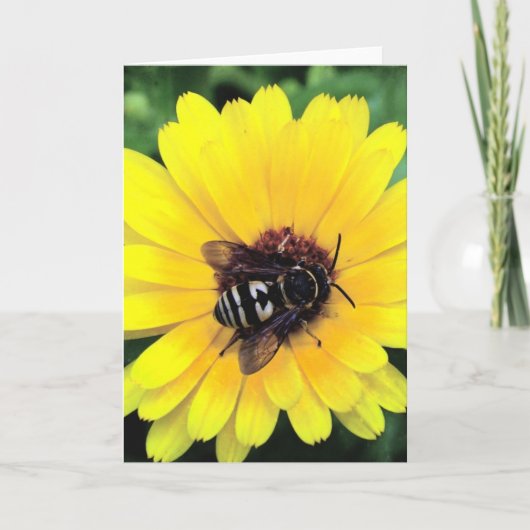 Bienen und Gelbe Blume Karte (Vorderseite)
