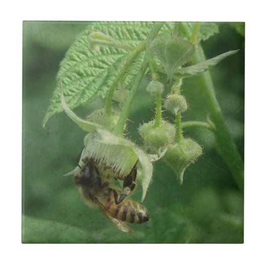 Bienen und Himbeere Blume Fliese (Vorderseite)