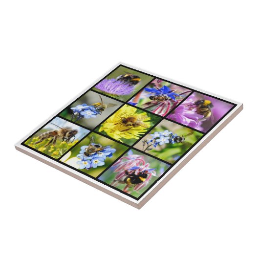 Bienen und Hummeln Fliese (Seite)