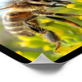Bienen und Hummeln Poster (Ecke)