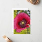 Bienen und Mohn Mitteilungskarte (Vorderseite/Rückseite Beispiel)