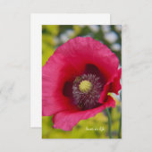 Bienen und Mohn Mitteilungskarte (Vorne/Hinten)