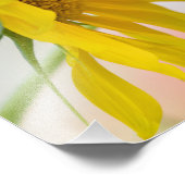 Bienen und Sonnenblumen Fotodruck (Ecke)