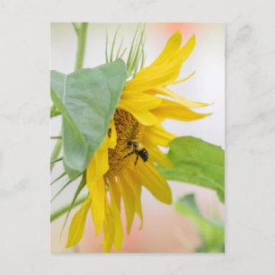 Bienen und Sonnenblumen Postkarte