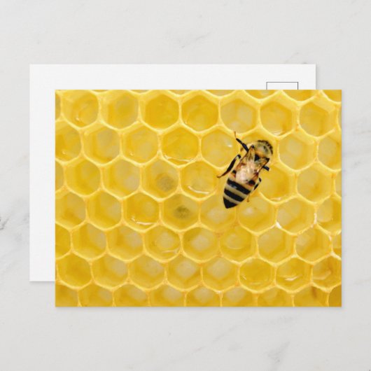 Bienen und Waben Feiertagspostkarte (Vorne/Hinten)