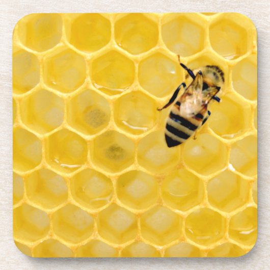 Bienen und Waben Getränkeuntersetzer (Vorderseite)