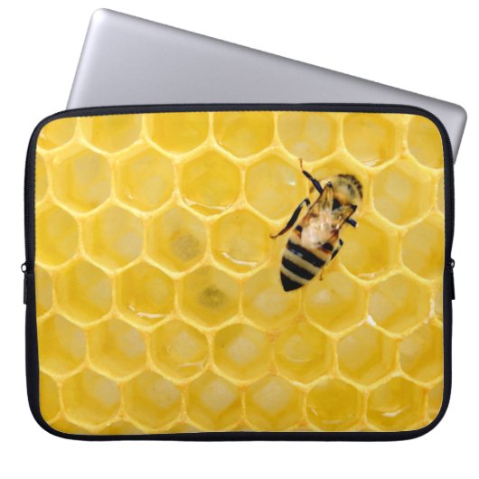 Bienen und Waben Laptopschutzhülle (Vorderseite)