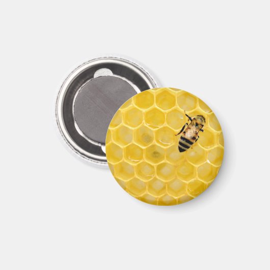Bienen und Waben Magnet (Vorderseite/Rückseite)