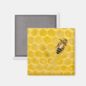 Bienen und Waben Magnet (Vorderseite/Rückseite)