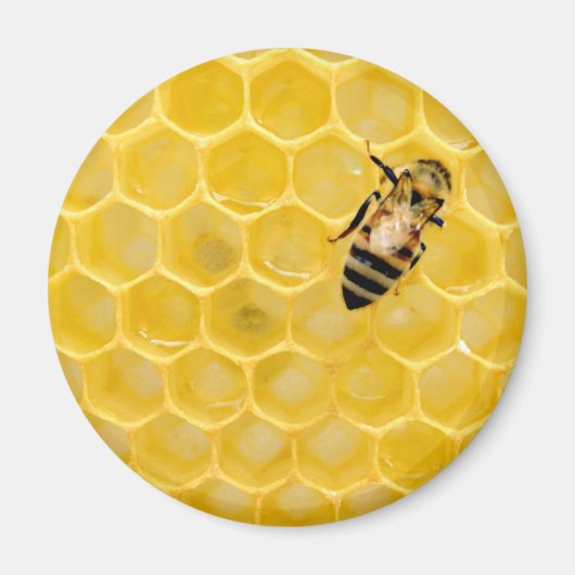 Bienen und Waben Magnet (Vorne)