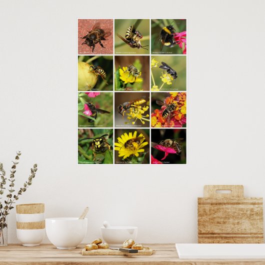 Bienen & Wasps Poster (Küche)