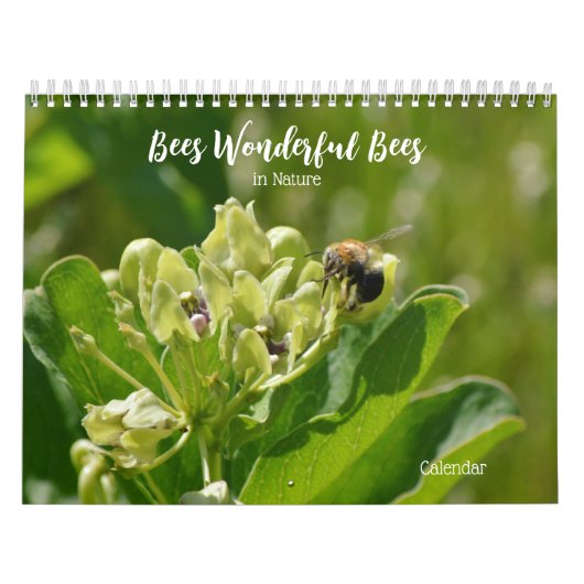 Bienen Wunderschöne Bienen im Naturkalender Kalender (Titelbild)