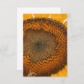 Bienenantenne und Sonnenblume Mitteilungskarte (Vorne/Hinten)