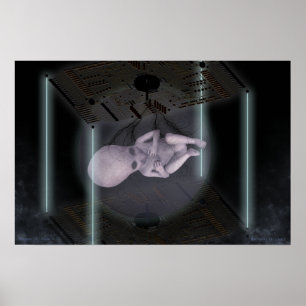 Bienenarten731.2-506.2 Poster