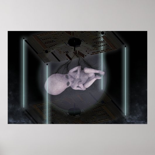 Bienenarten731.2-506.2 Poster (Vorne)