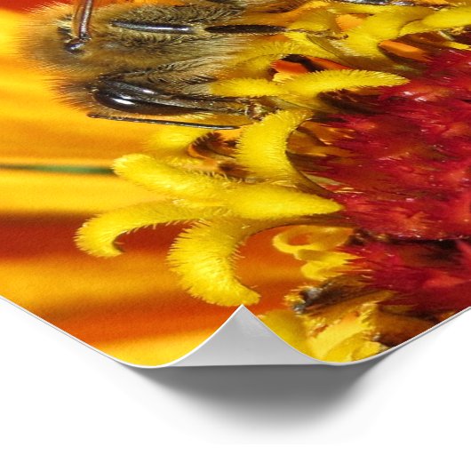 Bienenbefruchtende Blume Poster (Ecke)
