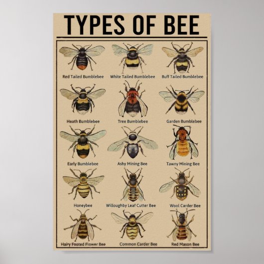 Bienenbildung Vintag Poster (Vorne)