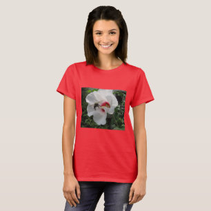 Bienenfänge vom White Rose of Sharon T Shirt