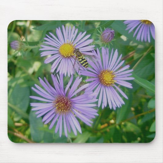 Bienenfliegen & Lila Asters Mousepad (Vorne)