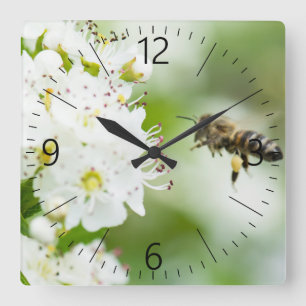 Bienenfliegen zur Frühlingssonne Quadratische Wanduhr