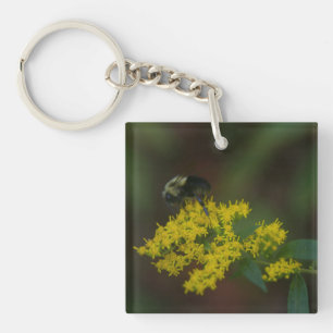 Bienenfresser auf Goldenrod-Schlüsselanhänger Schlüsselanhänger
