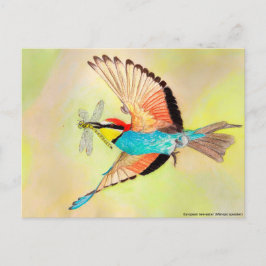 Bienenfresser, bunter Vogel bei Flugbildern Postkarte