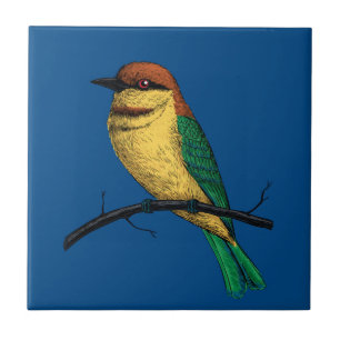 Bienenfresser Fliese
