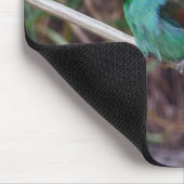 Bienenfresser Mousepad (Ecke)