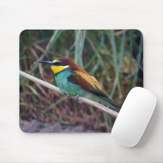 Bienenfresser Mousepad (Mit Mouse)